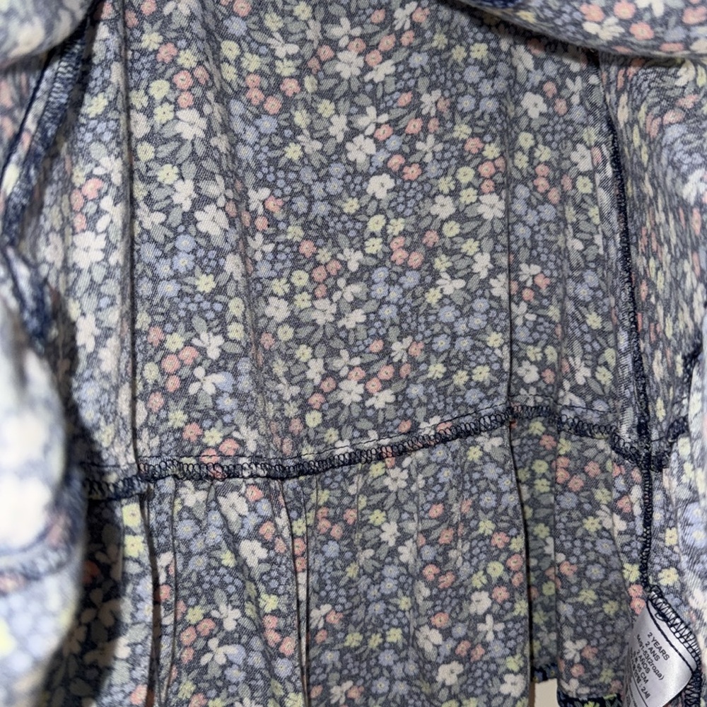 GAP Baby Lightweight Floral Quarter Sleeved ruffle collar Dresses blue Brown 2T - Picture 10 of 12